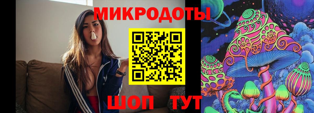 Тамбов  Псилоцибиновые грибы прущие грибы  Вход с VPN  Галлюциногенные грибы мицелий 